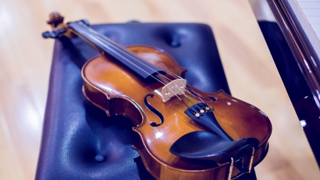 Violine für Kinder, Jugendliche und Erwachsene Foto: Adobe.stock.com - Koonsiri